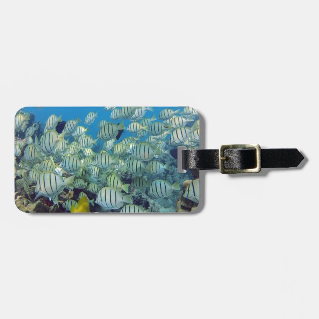Hanauma Bay - Hawaii Convict Tangs Luggage Tag (Front Horizontal)