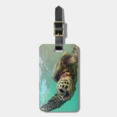 Hanauma Bay - Hawaii Green Sea Turtles Luggage Tag (Front Vertical)