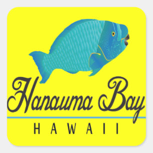 Hanauma Bay Hawaii Parrot Fish Square Sticker
