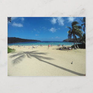 Hanauma Bay Hawaii Postcard