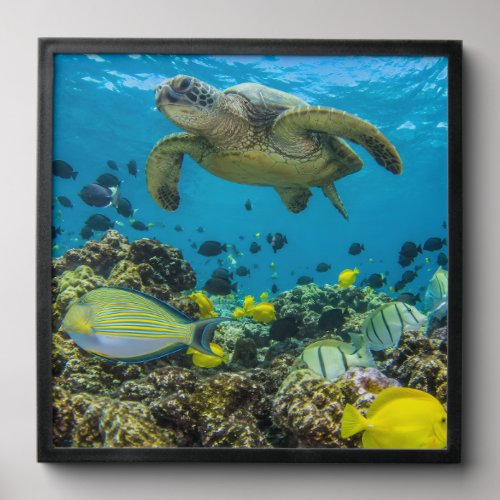 Hanauma Bay Hawaii Poster Peel And Stick Photo Tile