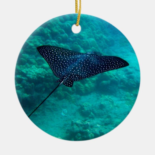 Hanauma Bay Hawaii Spotted Eagle Ray Ceramic Ornament (Front)