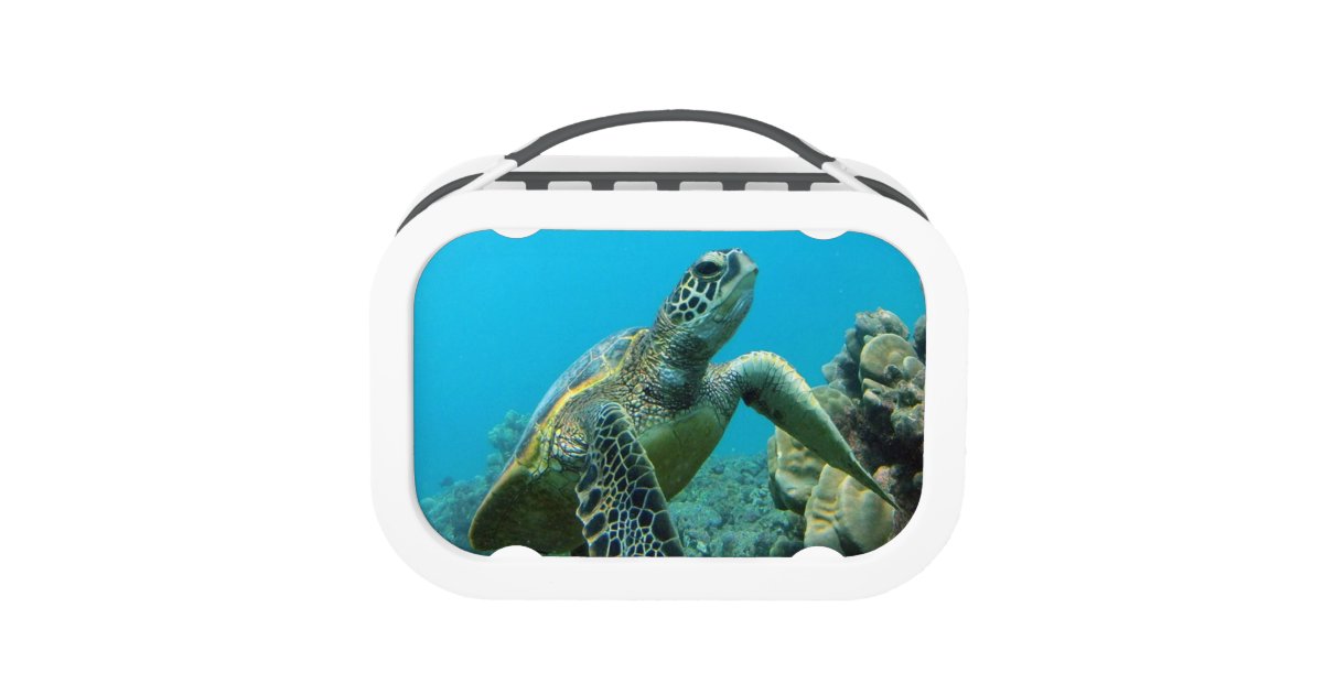Hanauma Bay Hawaii Turtle Lunch Box