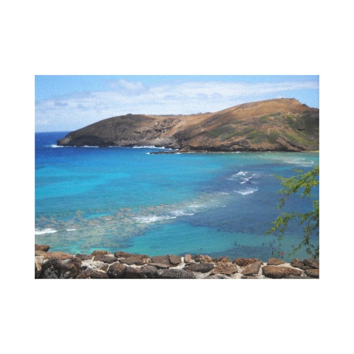 Hanauma Bay Nature Preserve Hawaii Gallery Wrapped Canvas