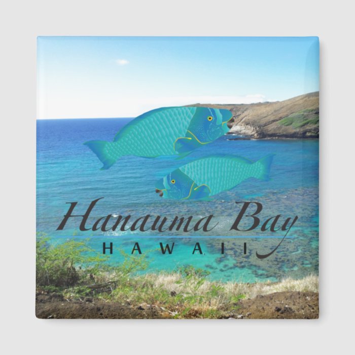 Hanauma Bay Oahu Hawaii Parrot Fish Magnet