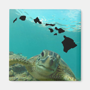 Hanauma Bay Oahu Hawaii Turtle Magnet