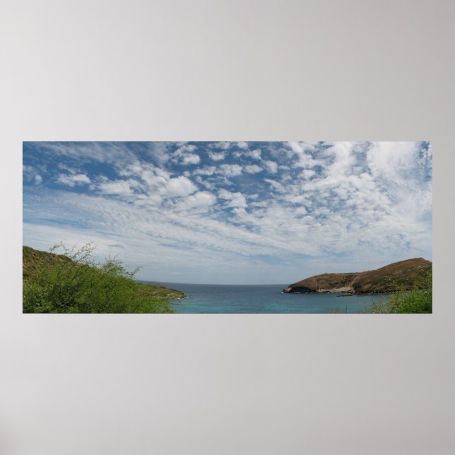 Hanauma Cove Panorama Poster (Front)