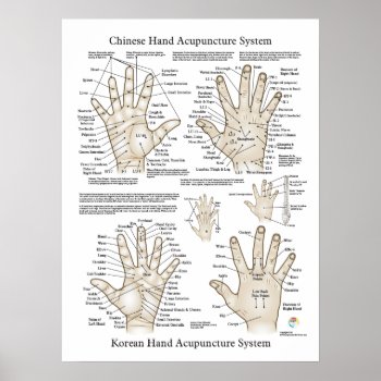 Hand Acupuncture Points Therapy Poster by AcupunctureProducts at Zazzle