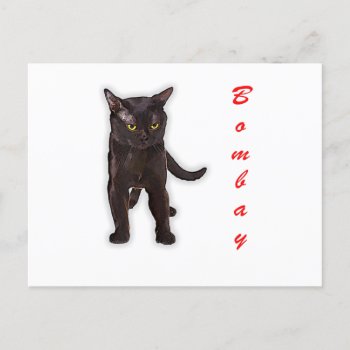 Hand Draw Funny Bombay Cat Japan Gift Dad Mom Postcard
