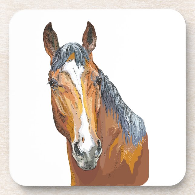 Hand drawing bay horse throw pillow beverage coaster (Front)