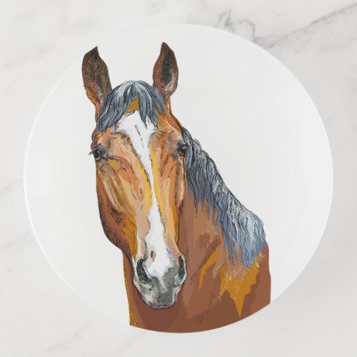 Hand drawing bay horse throw pillow trinket tray