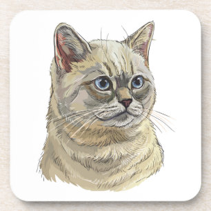 Hand drawing funny British cat Throw Pillow Beverage Coaster