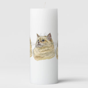 Hand drawing funny fluffy Ragdoll cat Pillar Candle