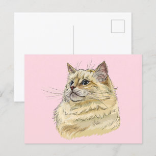 Hand drawing funny fluffy Ragdoll cat Postcard