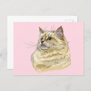 Hand drawing funny fluffy Ragdoll cat Postcard