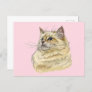 Hand drawing funny fluffy Ragdoll cat Postcard