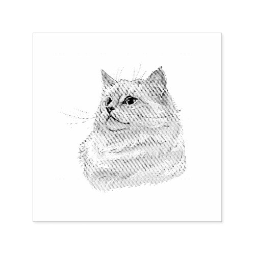 Hand drawing funny fluffy Ragdoll cat Self_inking Stamp