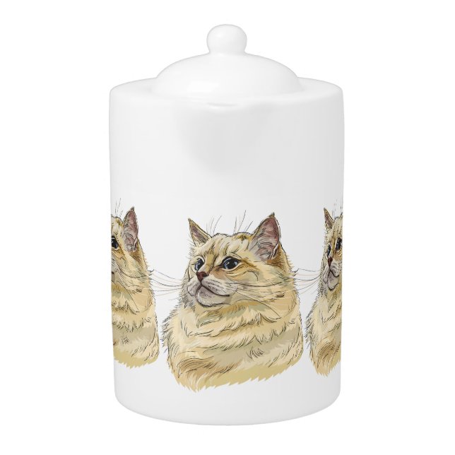Hand drawing funny fluffy Ragdoll cat Teapot (Front)