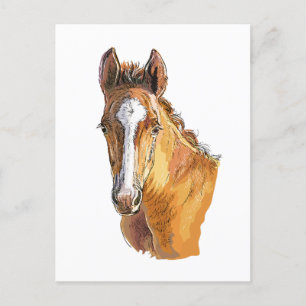 Hand drawing little cute foal throw pillow wood wa postcard