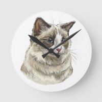 Hand drawing luffy Ragdoll cat