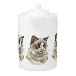 Hand drawing luffy Ragdoll cat Teapot