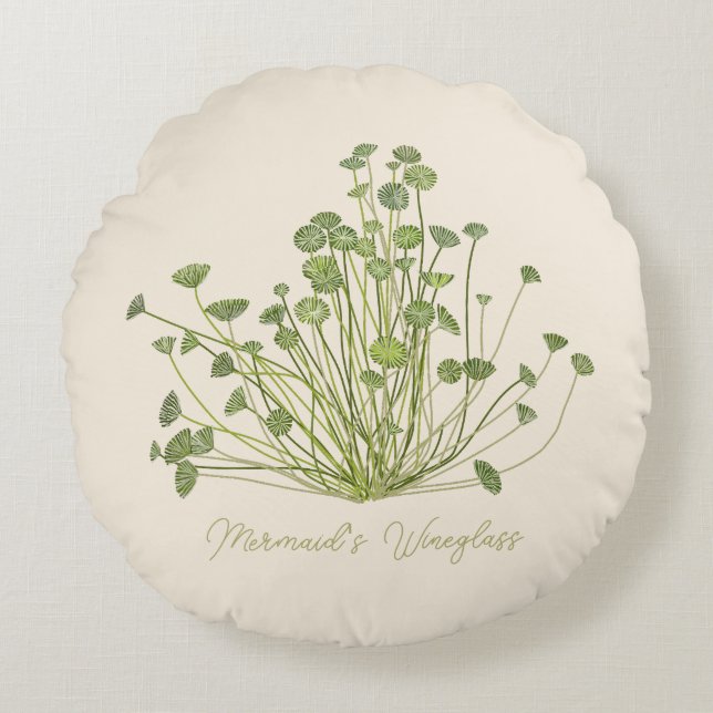 Hand drawn Acetabularia Seaweed  Round Pillow (Front)