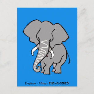 Hand drawn African ELEPHANT Conservation -- Blue Postcard