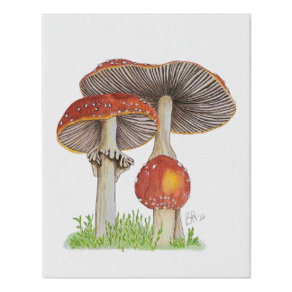 Hand Drawn Amanita Muscaria Faux Canvas Print