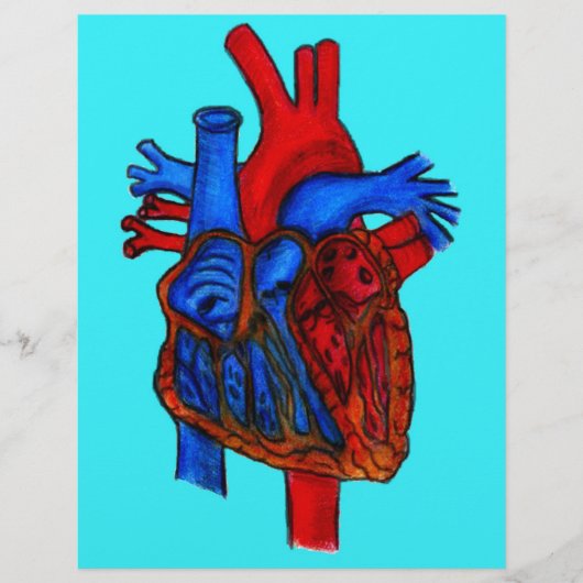 Hand Drawn Aqua Anatomical Heart (Front)