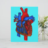 Hand Drawn Aqua Anatomical Heart (Standing Front)