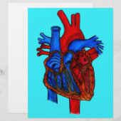 Hand Drawn Aqua Anatomical Heart (Front/Back)