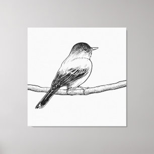 Hand drawn bird illustration canvas print