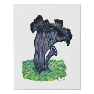 Hand Drawn Black Trumpet Mushroom Faux Canvas Print