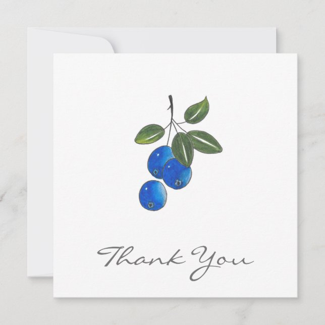 Hand Drawn Blueberries 3 Thank You Card (Front)