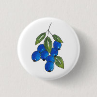 Hand Drawn Blueberries