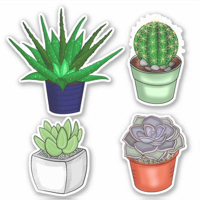 Hand Drawn Cacti and Succulents Sticker (Front)