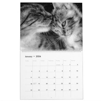 Hand Drawn Cats Wild and Domestic Felines Calendar