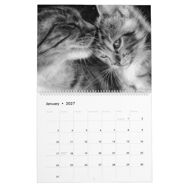 Hand Drawn Cats Wild and Domestic Felines Calendar (Jan 2027)
