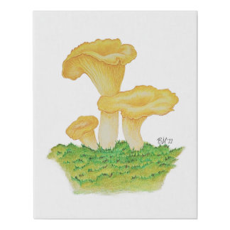 Hand Drawn Chanterelle Mushroom Faux Canvas Print