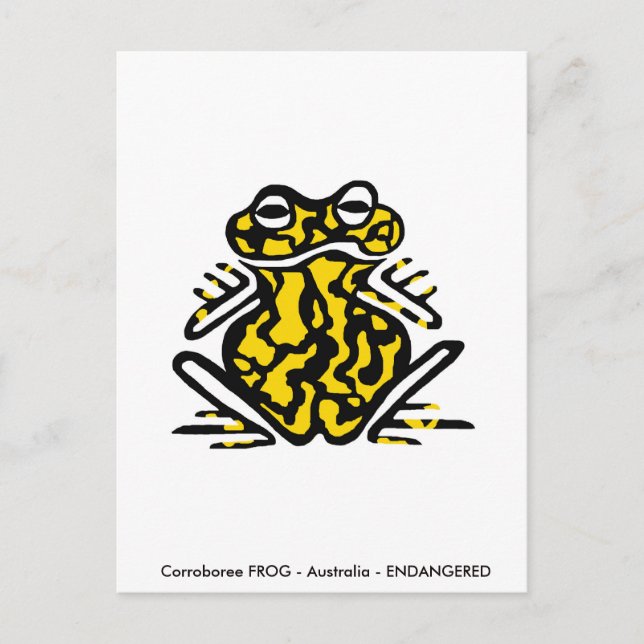 Hand drawn -Corroboree FROG - Nature -Amphibian Postcard (Front)