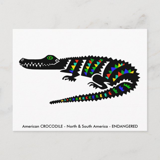 Hand drawn - CROCODILE -Conservation -Reptile- Postcard (Front)