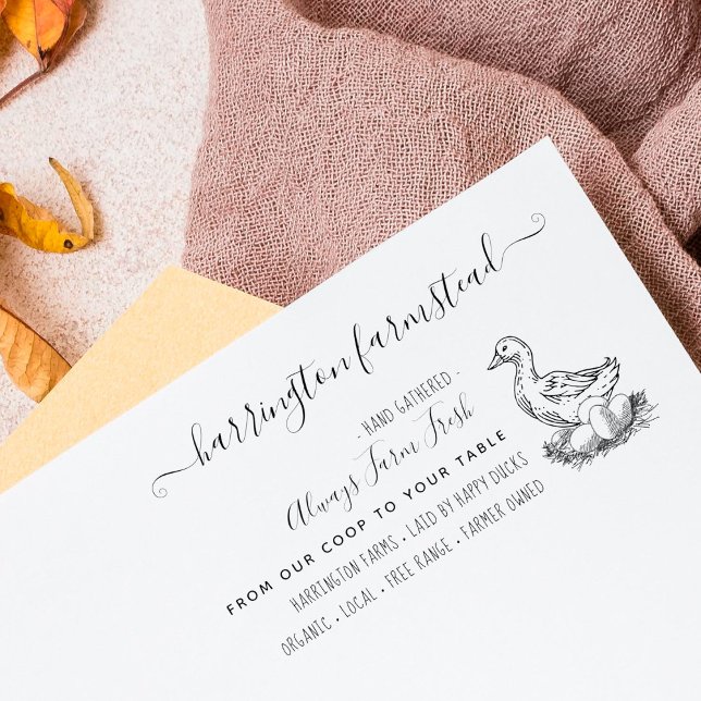 Hand-drawn Duck Family Farm Fresh Eggs Carton Rubber Stamp (Creator Uploaded)