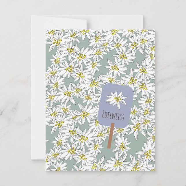 Hand-Drawn Edelweiss Sound of Music Botanical Note Card (Front)