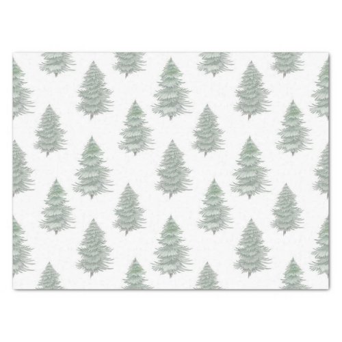 Hand Drawn Evergreen Tree Pattern    Tissue Paper