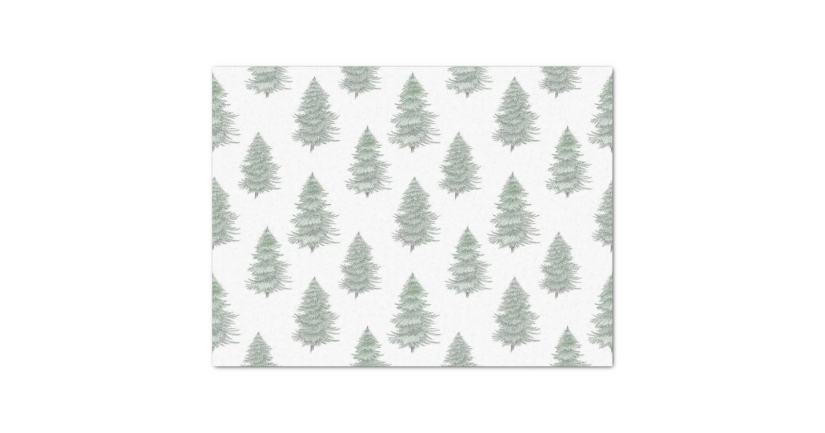 Hand Drawn Evergreen Tree Pattern Tissue Paper | Zazzle