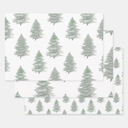 Hand Drawn Evergreen Tree Pattern Wrapping Paper Sheets