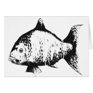 Hand drawn fish cards