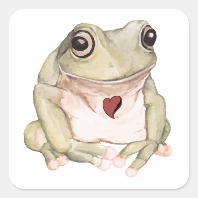 Hand drawn green tree frog   square sticker (Front)