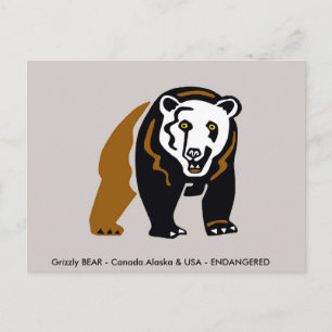 Hand drawn Grizzly BEAR - Wildlife - wild animals Postcard