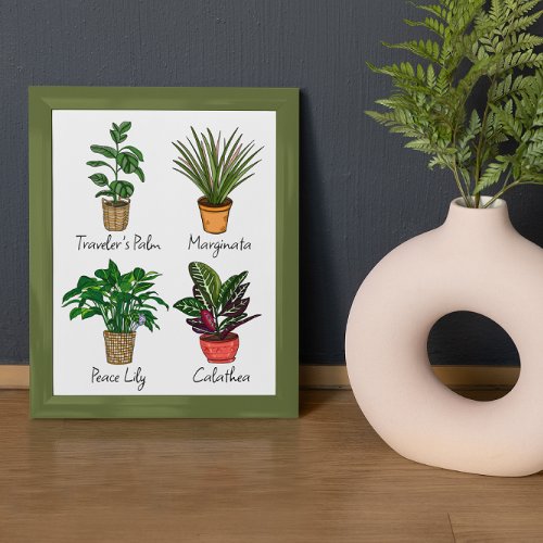 Hand Drawn House Plants Art   Photo Print